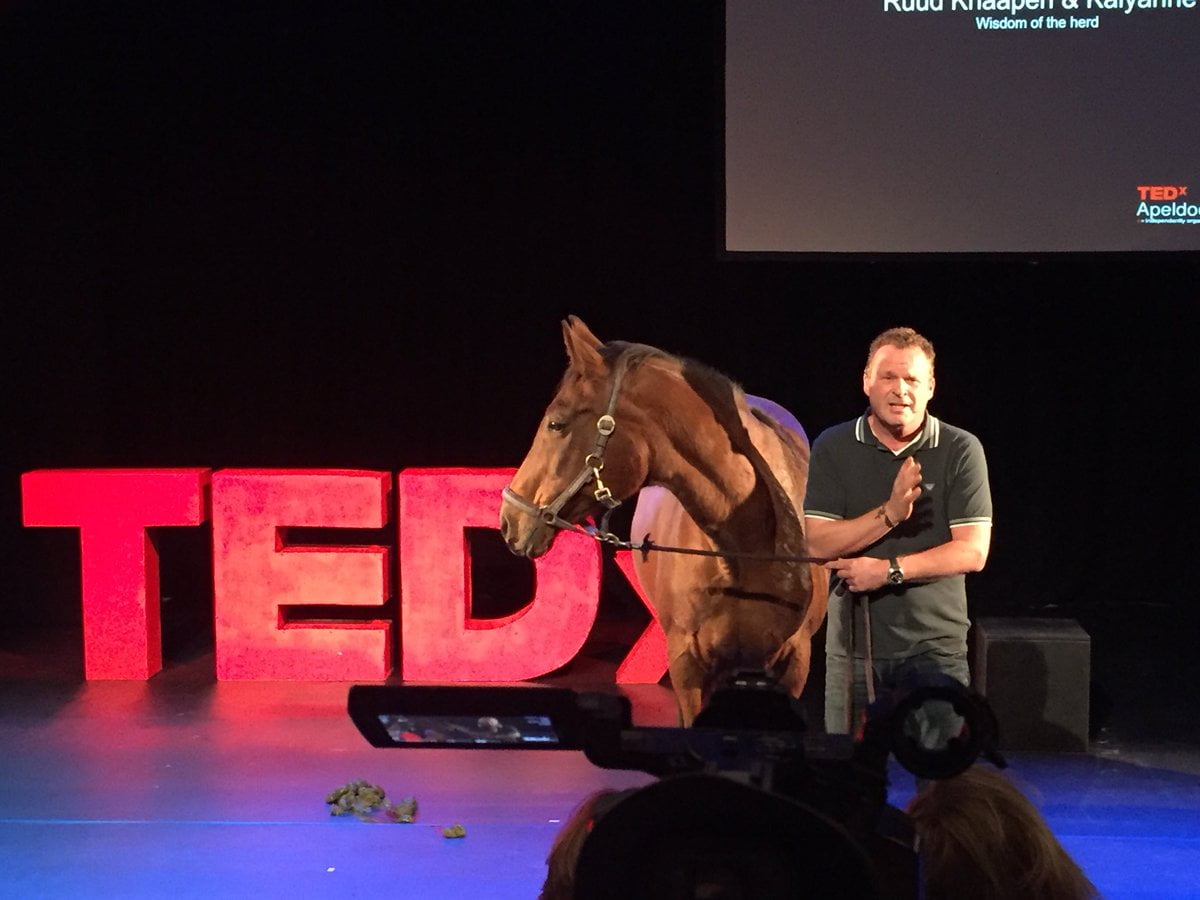 Wisdom of the herd (TEDx talk)